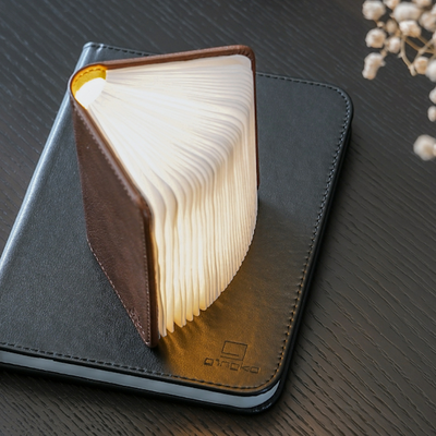 Gingko Smart Book Light (Fibre Leather)