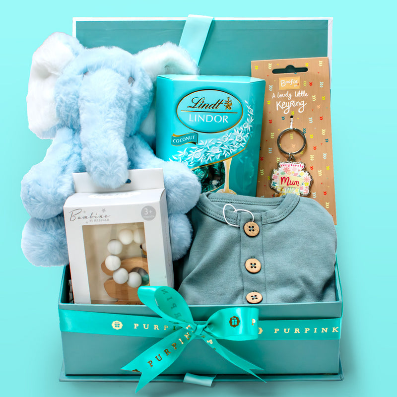 Blissful Baby Boy Bundle