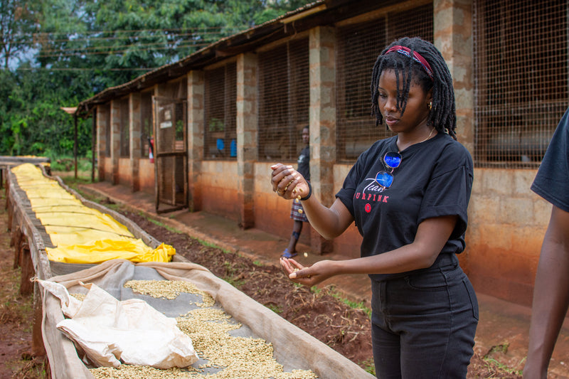 Karunguru Coffee Farm Tour Experience